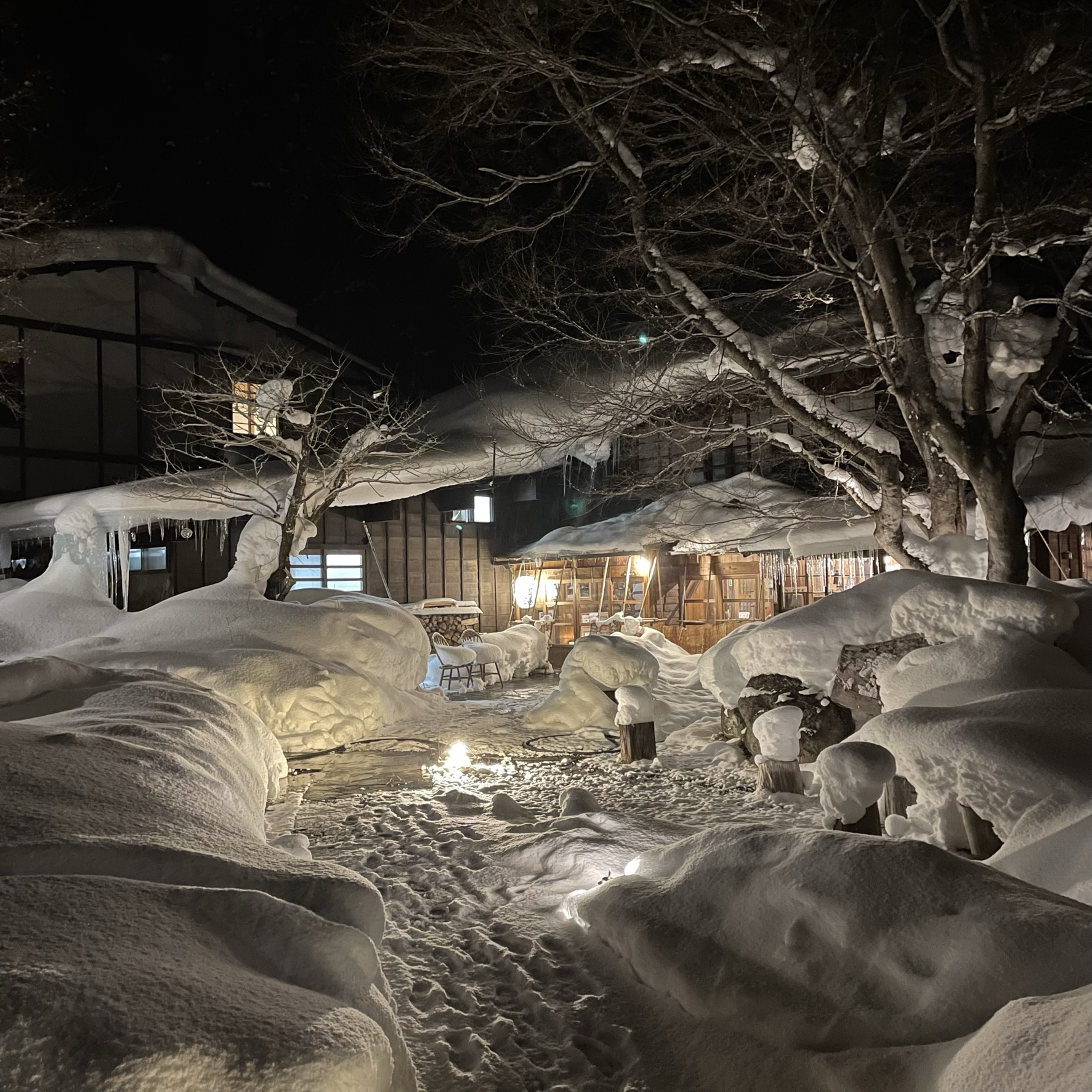 nikko