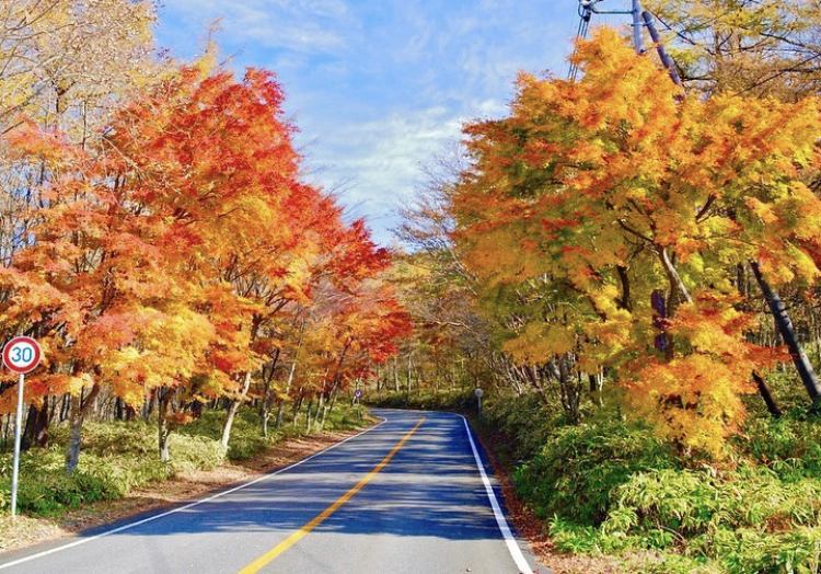 nikko