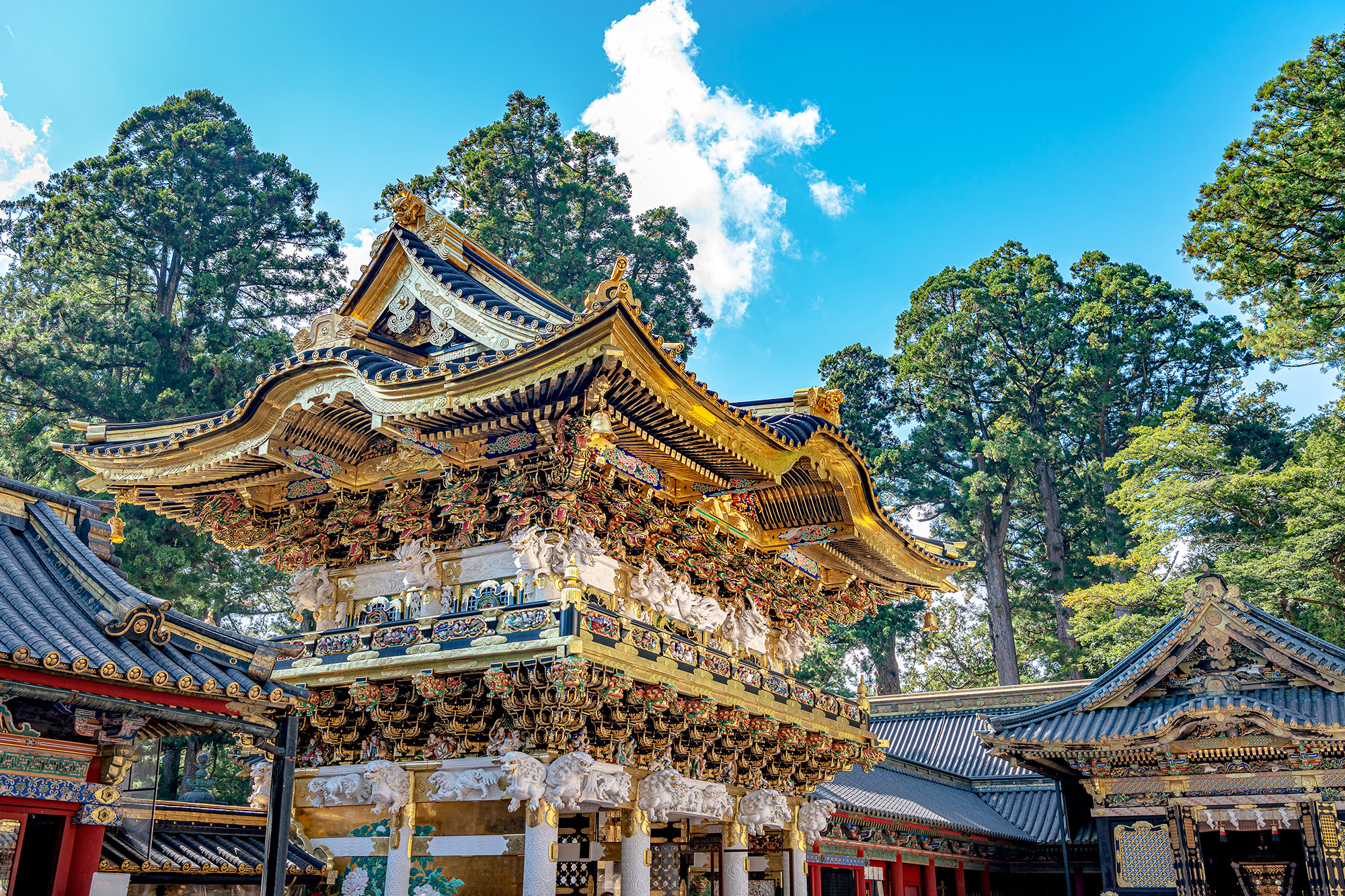 nikko
